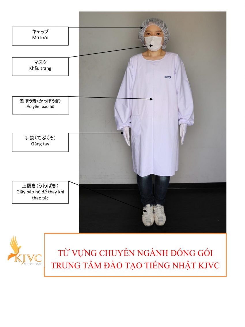 từ vựng tiếng nhật chuyên ngành đóng gói